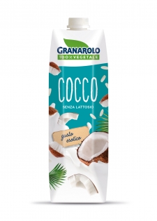 Coconut & Rice Milk | DairyKo Wholesale Dairy & Food Produce
