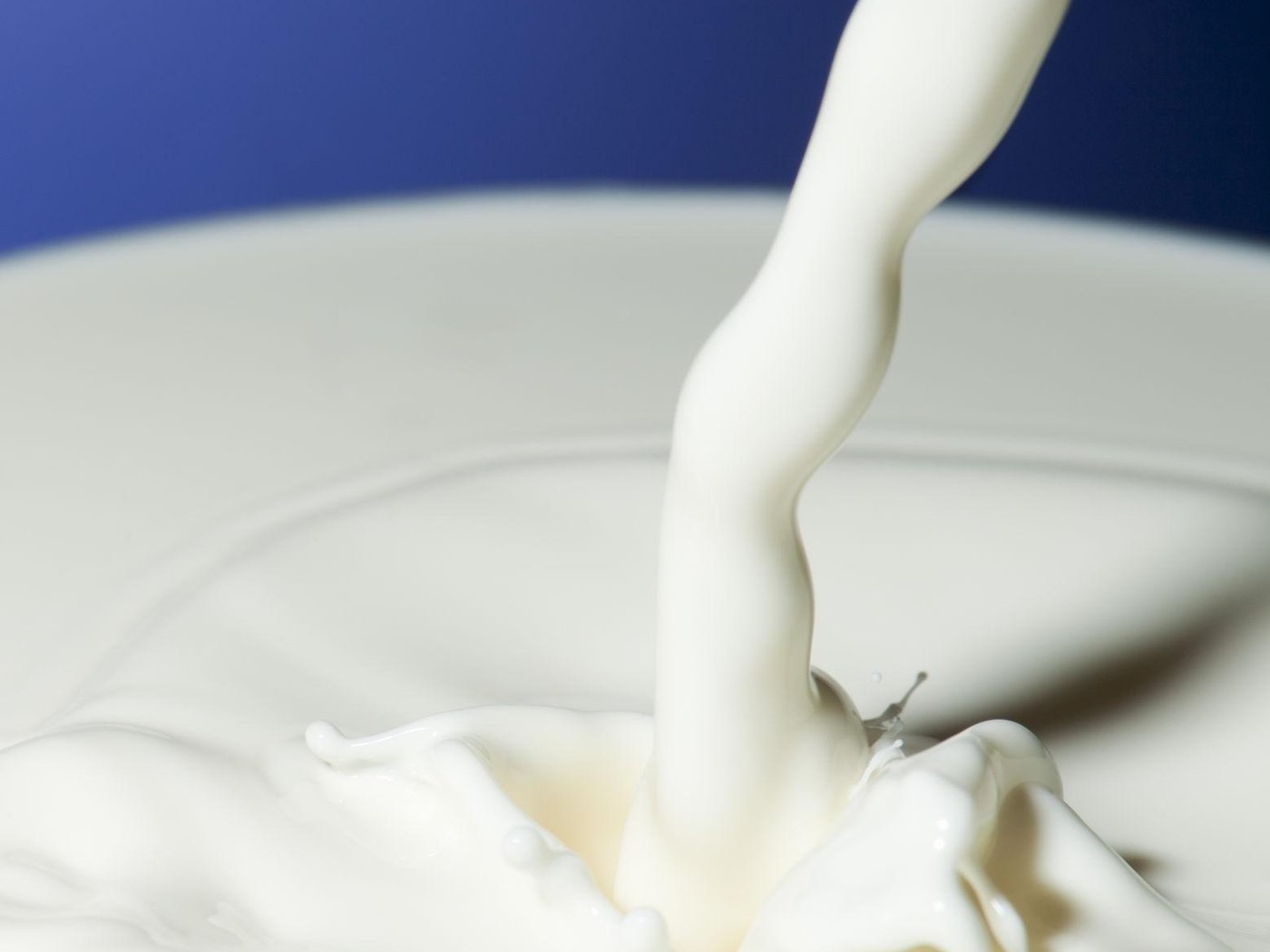 Cream & Milk
