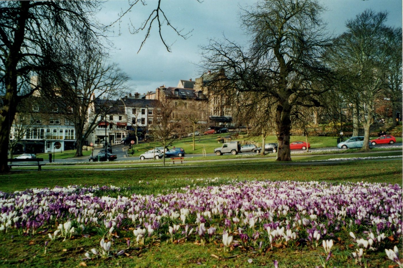 Harrogate, North Yorkshire