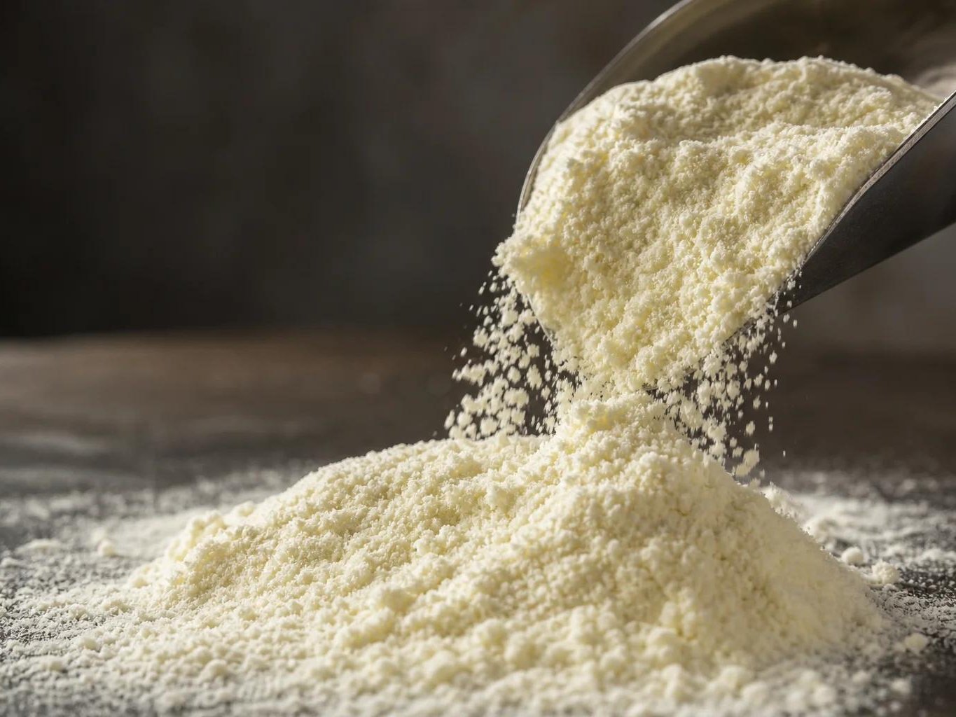Dairy Powders